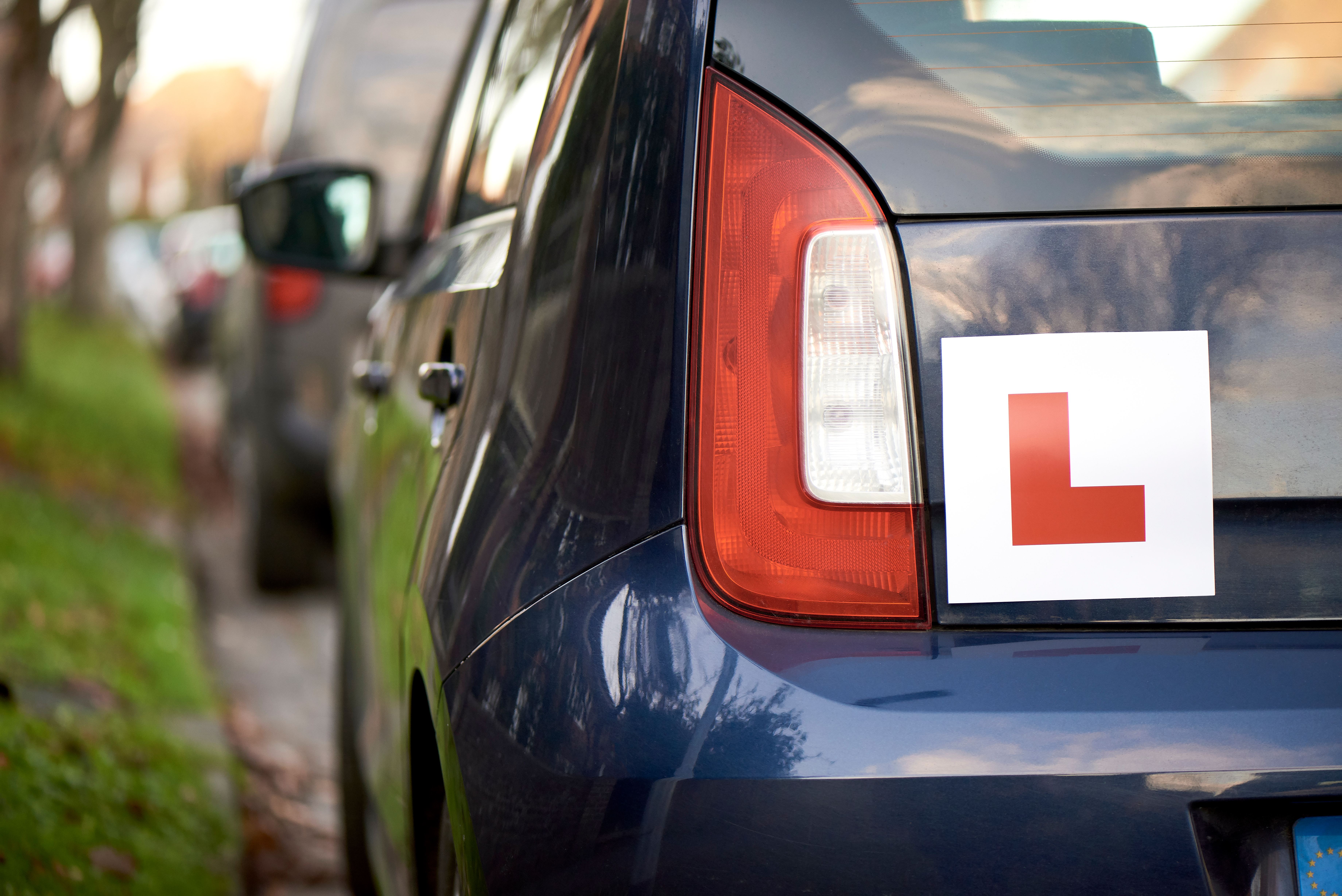 Learner Driver (3)