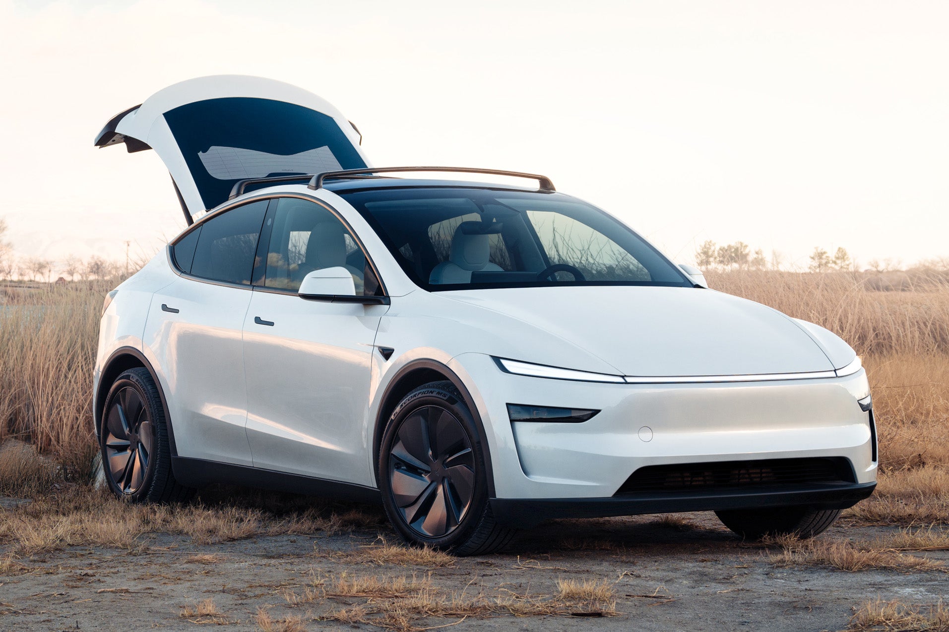 Tesla_Model_Y_6.jpg
