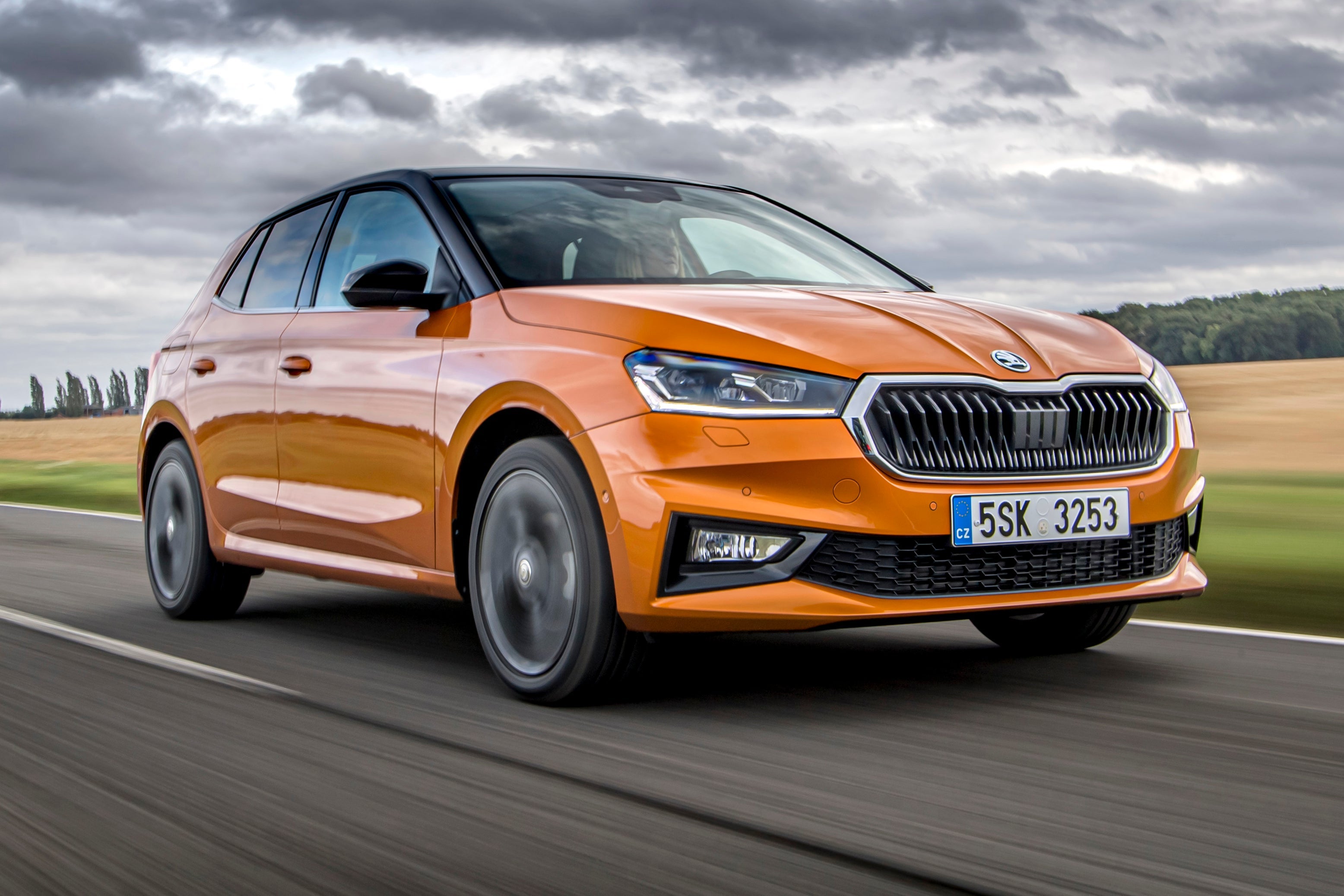 Skoda Fabia (11).jpg