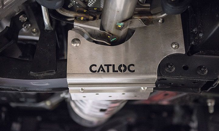 catloc.jpg