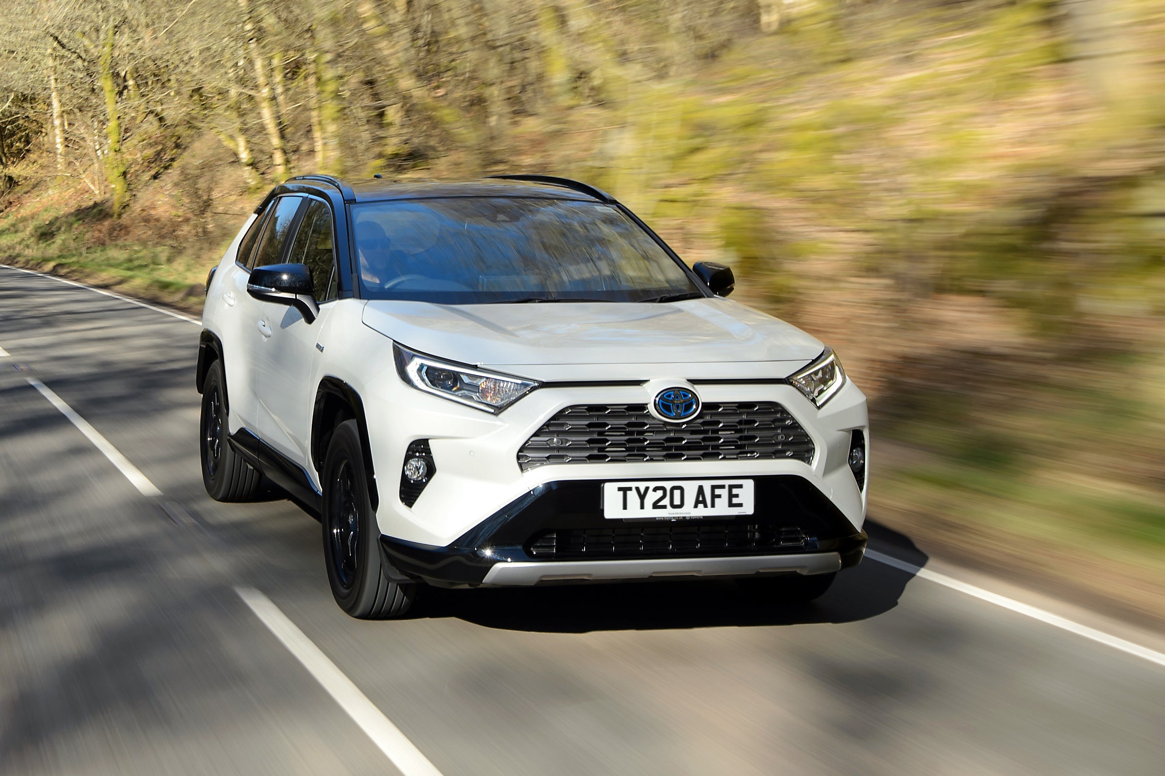 Toyota RAV4 (10).jpg