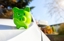 Car Piggy Bank