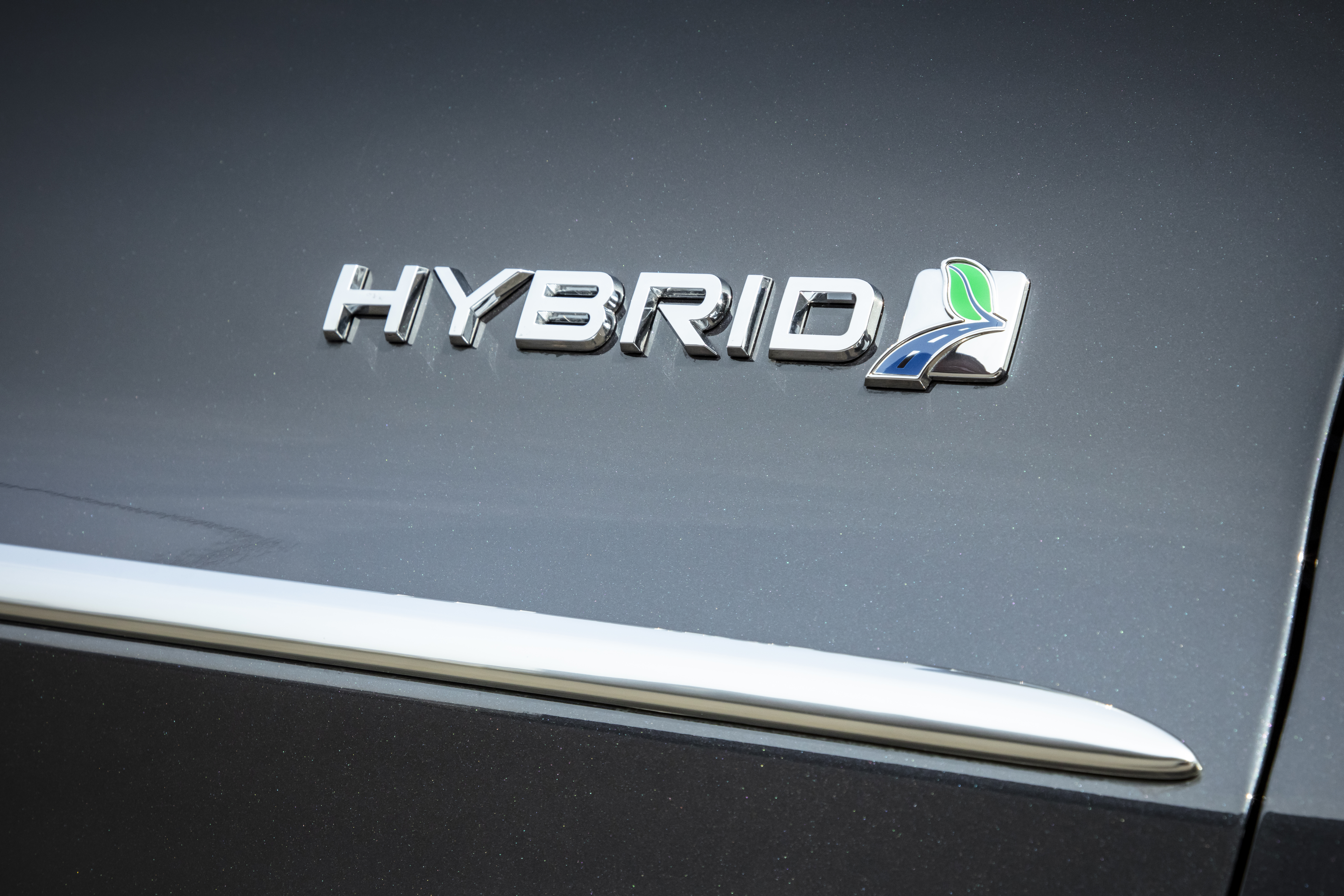 Ford Hybrid badge (1).jpg