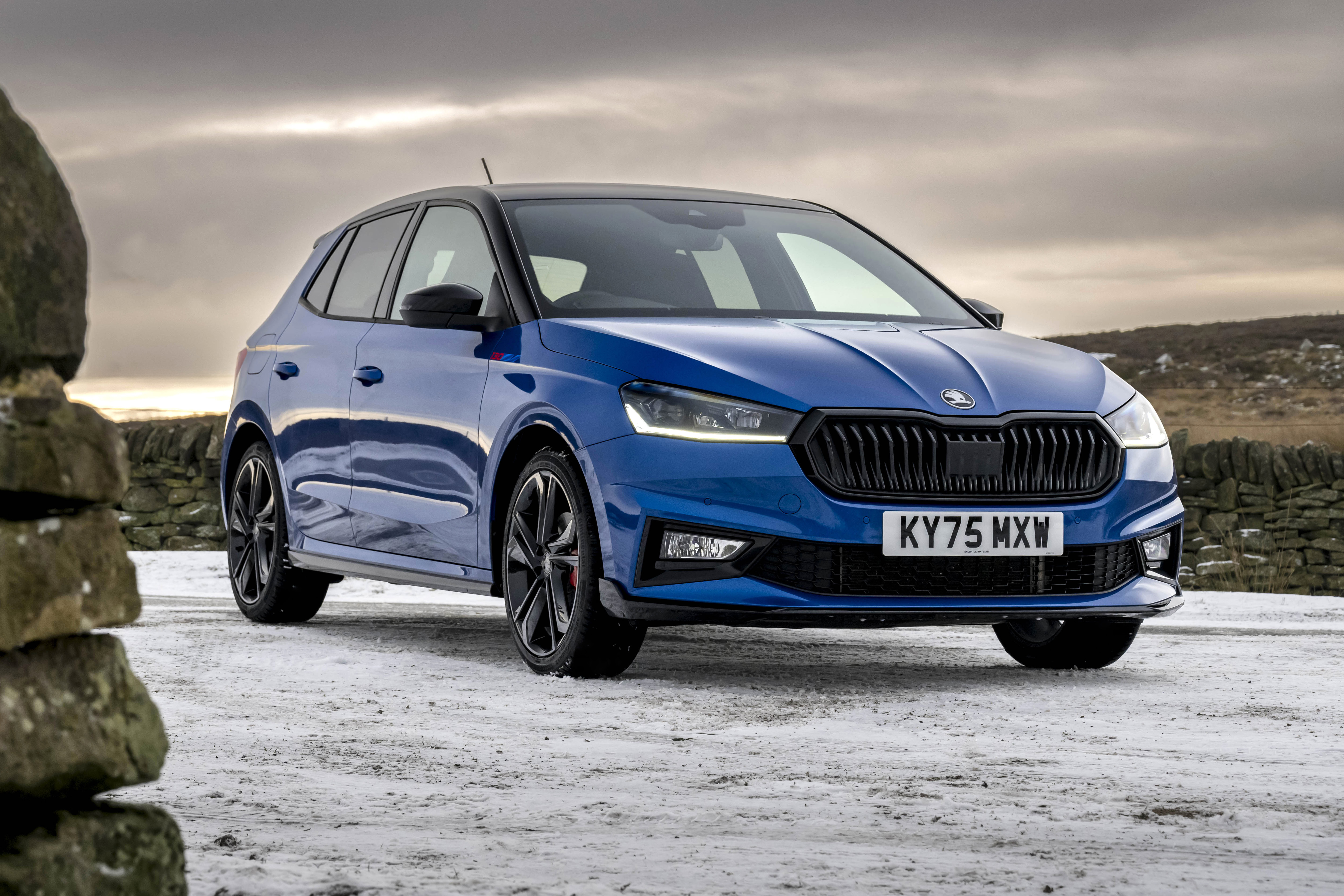 Skoda Fabia 130.jpg
